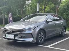 2024 BYD Destroyer 05 DM-i 55KM — фото 1