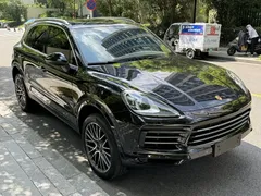 2022 Porsche Cayenne 3.0T Platinum, чёрный — фото 13