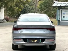 2023 BYD Qin PLUS DM-i 120KM — фото 8