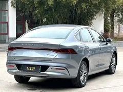 2023 BYD Qin PLUS DM-i 120KM — фото 9