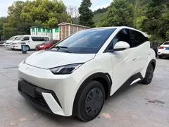 2024 BYD Seagull 305km, белый — фото 1