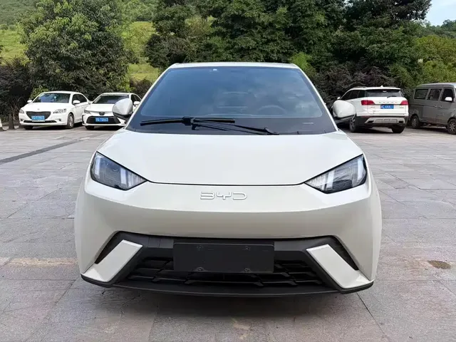 2024 BYD Seagull 305km