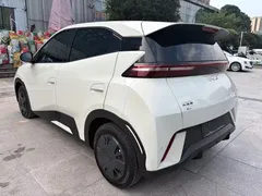 2024 BYD Seagull 305km, белый — фото 9