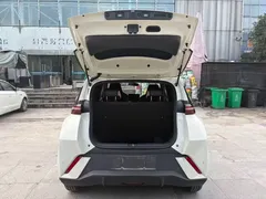 2024 BYD Seagull 305km, белый — фото 13