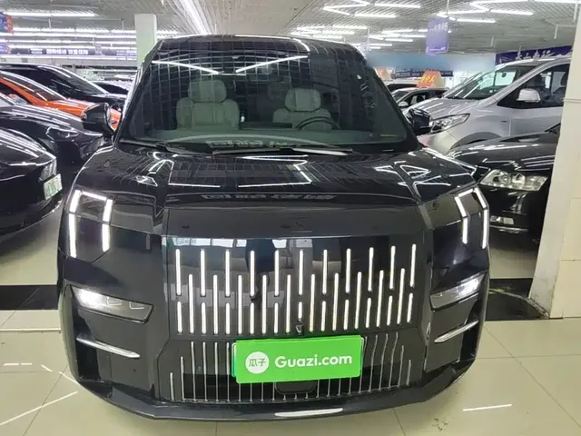 2022 Zeekr 009 WE
