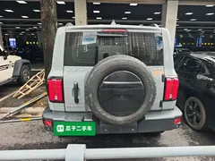 2021 Tank 300 Off-road 2.0T Challenger — фото 6