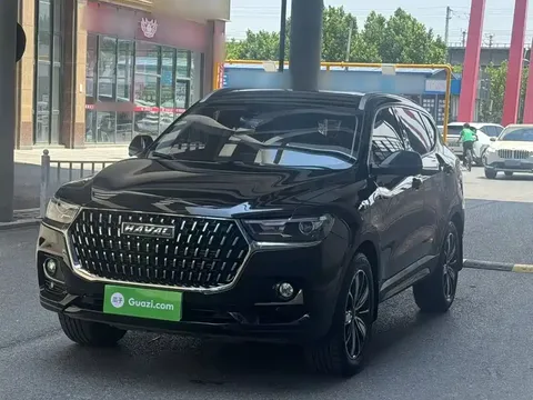2023 Haval H6 1.5T AT Guochao Champion