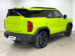 2022 Haval Cool Dog 1.5T DCT 4WD, зелёный — фото 4