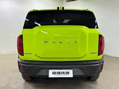 2022 Haval Cool Dog 1.5T DCT 4WD, зелёный — фото 6