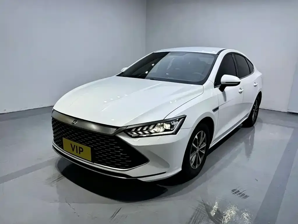 2021 BYD Qin PLUS 55KM