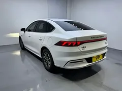 2021 BYD Qin PLUS 55KM, белый — фото 4