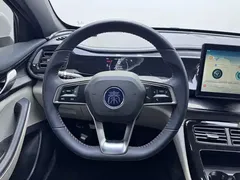 2021 BYD Qin PLUS 55KM, белый — фото 13