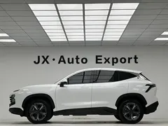 2023 Jetour Dashing 1.5T MT Star, белый — фото 11