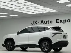 2023 Jetour Dashing 1.5T MT Star, белый — фото 12