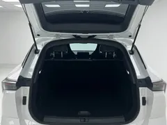 2023 Jetour Dashing 1.5T MT Star, белый — фото 15