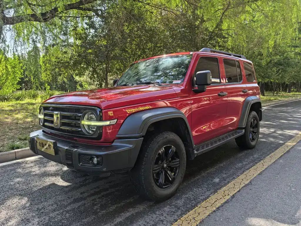2021 Tank 300 2.0T