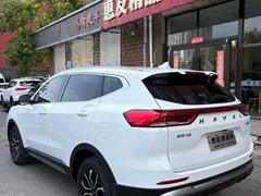 2023 Haval H6 1.5T AT Guochao Urban, белый — фото 6