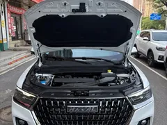 2023 Haval H6 1.5T AT Guochao Urban, белый — фото 24
