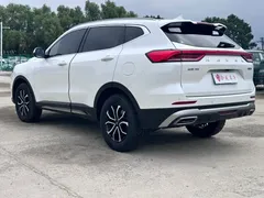 2022 Haval H6 1.5T AT 2WD Max, белый — фото 6