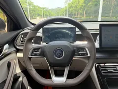 2024 BYD Qin PLUS 55KM — фото 11
