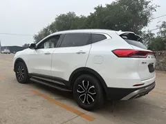 2021 Haval H6 1.5T AT Guochao Urban, белый — фото 9
