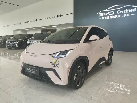 2025 BYD Seagull 305km Freedom