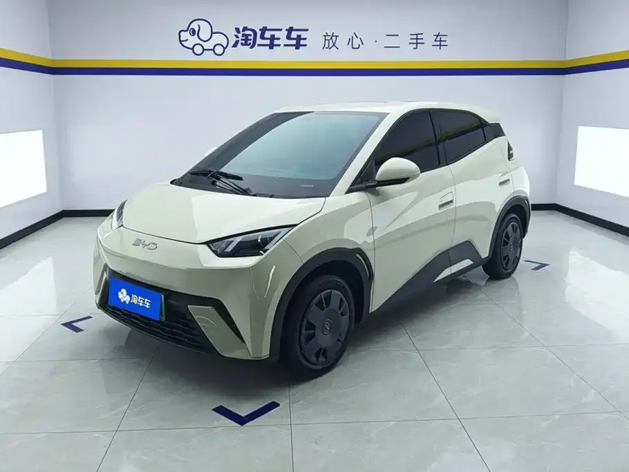 2024 BYD Seagull Honor 305km Vitality
