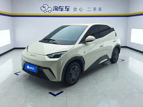 2024 BYD Seagull Honor 305km Vitality