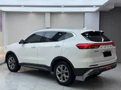 2021 Haval H6 1.5GDIT AT Guochao Champion, белый — фото 6