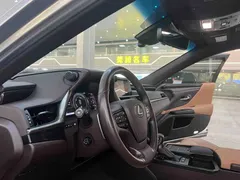 2020 Lexus ES 300h — фото 15