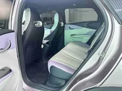 2023 BYD Dolphin 420km Fashion — фото 8