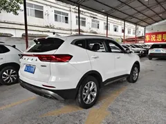 2021 Haval H6 1.5T AT, белый — фото 10
