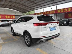 2021 Haval H6 1.5T AT, белый — фото 11