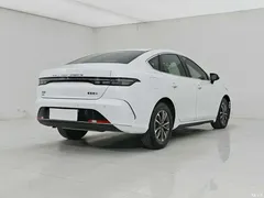 2024 BYD Destroyer 05 Honor DM-i 55KM Deluxe, белый — фото 4