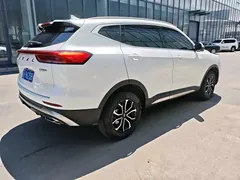 2023 Haval H6 1.5T AT, белый — фото 5