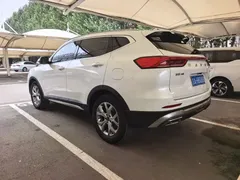 2021 Haval H6 1.5T AT Champion, белый — фото 19