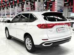 2023 Haval M6 Plus 1.5T DCT Luxury, белый — фото 4