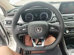 2021 Changan Raeton PLUS 1.5T DCT, белый — фото 11