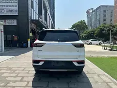 2020 Geely Okavango 1.8TD DCT Luxury 7-seat, белый — фото 8