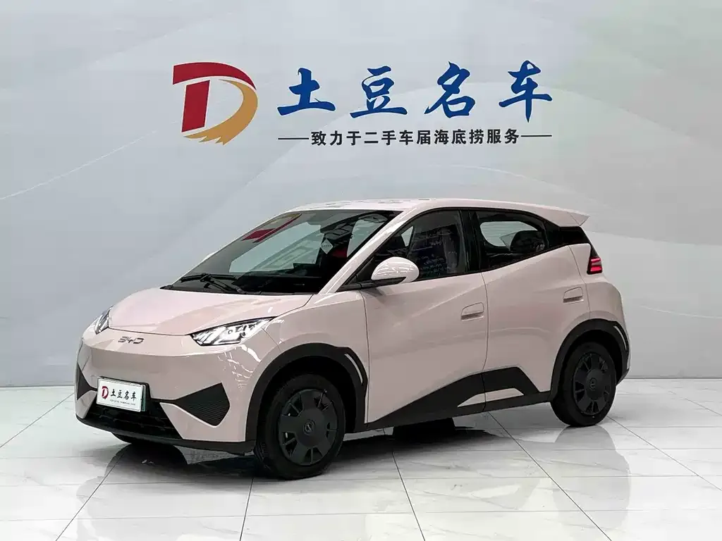 2025 BYD Seagull EV 305km