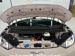2025 BYD Seagull EV 305km — фото 16