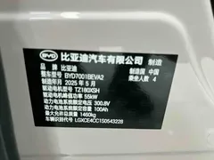 2025 BYD Seagull EV 305km — фото 18