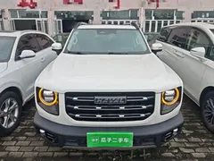 2021 Haval Dargo 2.0T DCT 4WD, белый — фото 3