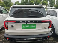 2021 Haval Dargo 2.0T DCT 4WD, белый — фото 4