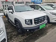 2021 Haval Dargo 2.0T DCT 4WD, белый — фото 22