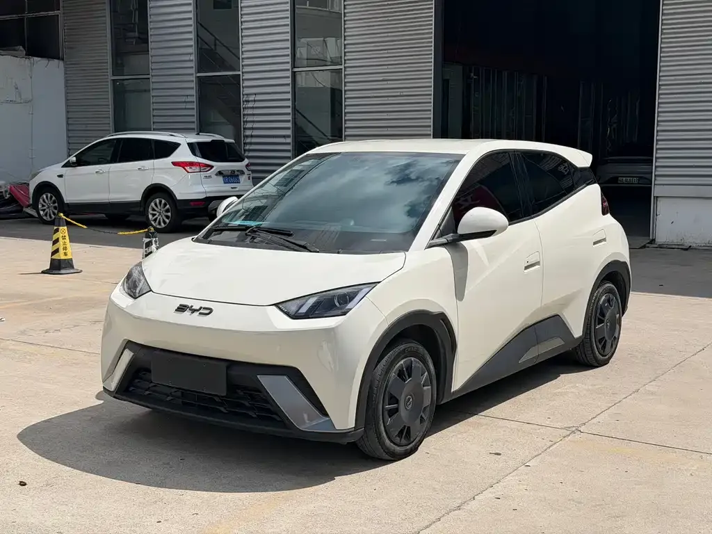 2024 BYD Seagull Honor 305km Vitality