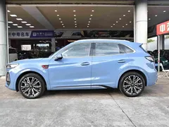 2023 Hongqi HS5 2.0T 4WD Pro, синий — фото 4
