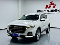 2023 Haval H6 1.5T AT Guochao Champion, белый — фото 1