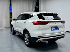 2023 Haval H6 1.5T AT Guochao Champion, белый — фото 14