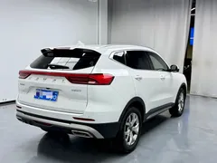 2023 Haval H6 1.5T AT Guochao Champion, белый — фото 15